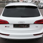 AUDI SQ5 3.0 TDI 313 QUATTRO AVUS