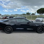 FORD MUSTANG 6 COUPE IV FASTBACK SHELBY GT 350