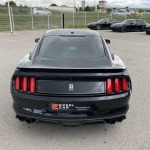 FORD MUSTANG 6 COUPE IV FASTBACK SHELBY GT 350