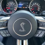 FORD MUSTANG 6 COUPE IV FASTBACK SHELBY GT 350