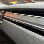 PORSCHE CAYENNE COUPE E-HYBRID 462 PLATINUM EDITION