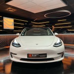 TESLA MODEL 3 PERFORMANCE AWD 490