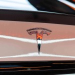 TESLA MODEL S TRI MOTOR PLAID 1020